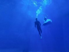 -多彩贵州城极地海洋世界