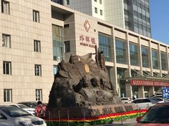 -中国人民解放军第九医学中心(306医院)