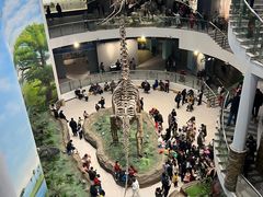 -辽宁古生物博物馆