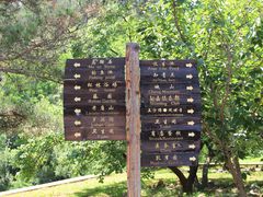 -金龙寺国家森林公园