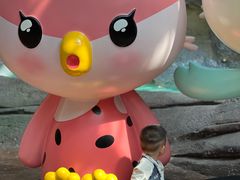 -杭州开元森泊度假乐园