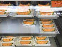 -富田农场