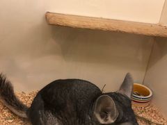 -龙猫仔乐园(惠福东路店)