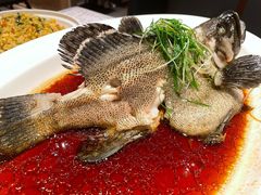-79号渔船海鲜饭店(宝安店)
