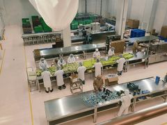 -歌斐颂巧克力小镇