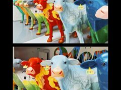 -蒙牛工业旅游景区
