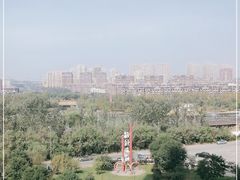 -前关湿地公园