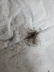 -HairCode芭曲发型