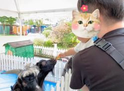 -萌宠亲子动物乐园(槐房万达店)