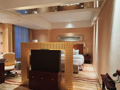 -电谷雅阁国际大酒店