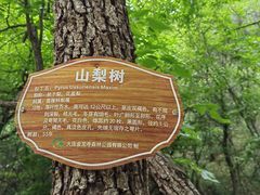 -金龙寺国家森林公园