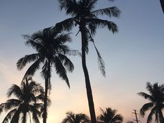 -宝华海景大酒店·望绿苑