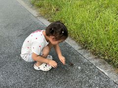 -阳澄湖半岛旅游度假区