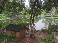 -杭州雅谷泉山庄酒店-餐厅