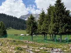 -新疆那拉提国家旅游度假区