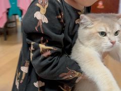 -babydoll猫舍·米努特·德文·缅因(久光中心店)