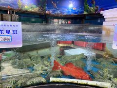 -马王堆海鲜水产市场