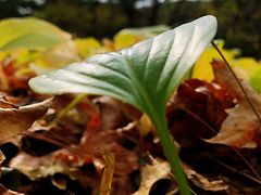 -北京植物园南门售票处