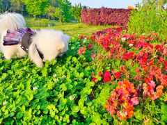 -苏州太湖国际会议中心