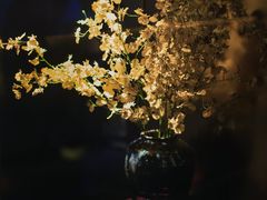 -觀芷隐轩