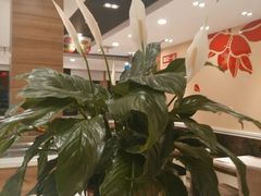 -嘉和一品粥(首经贸店)