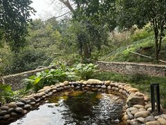 -融汇温泉
