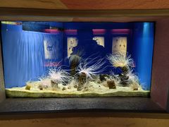 -上海海洋水族馆