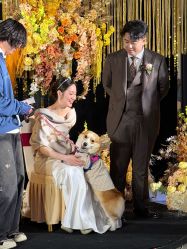 -DC大蔡婚礼策划(李公堤店)