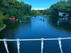 -上海共青森林公园