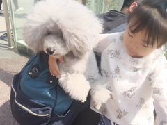 -日照海滨国家森林公园