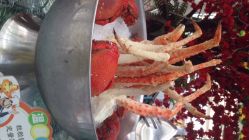 重庆阳光五洲大酒店阳光西餐厅-阳光五洲大酒店·宴会厅