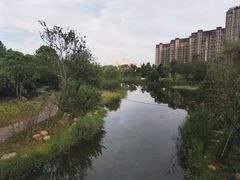 -洋湖国家湿地公园