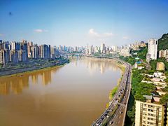 -李子坝梁山鸡(李子坝大鸡哥店)