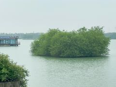 -贡湖湾湿地公园