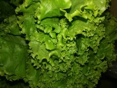 -口岸齐齐哈尔烤肉(风尚米兰总店)