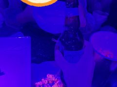 -纯K(打浦桥店)