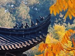 -东钱湖旅游度假区