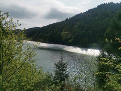 -武陵山森林公园