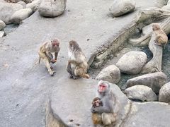 -常州淹城野生动物世界