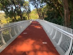-金鸡山公园
