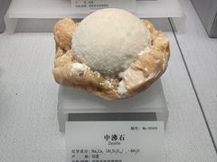 -湖南省地质博物馆