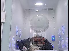 -爱洗澡的猫(望京店)