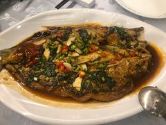 -天禄华美达广场酒店-雅兰轩中餐厅(青年路店)