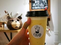 -白日梦奶茶