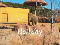 -沈阳森林动物园