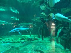 -华夏文旅海洋公园