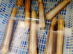 竹蛏王-厦门渔港(成山路店)