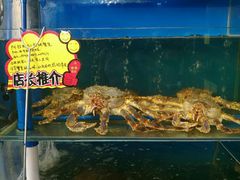 -蚝专家(北滘店)