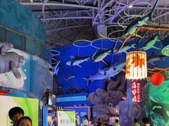 -烟台海昌鲸鲨海洋公园