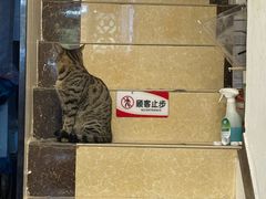 -竹园竹升面(西关总店)